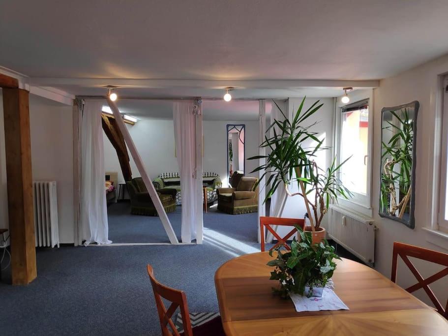 Grosse 130 M2 Gemuetliche Wohnung Im Herzen Tribergs Triberg im Schwarzwald Dış mekan fotoğraf