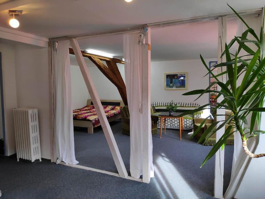 Grosse 130 M2 Gemuetliche Wohnung Im Herzen Tribergs Triberg im Schwarzwald Dış mekan fotoğraf